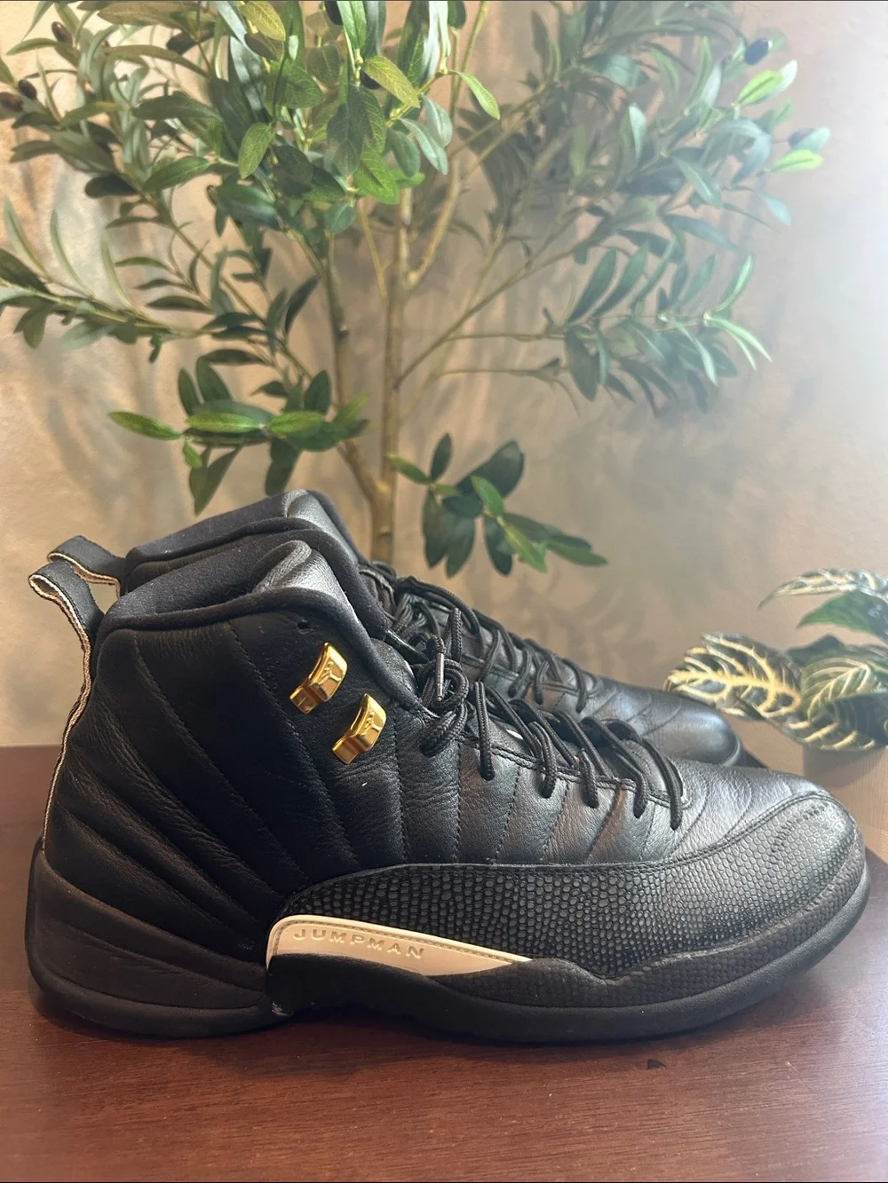 Air Jordan 12 Retro 